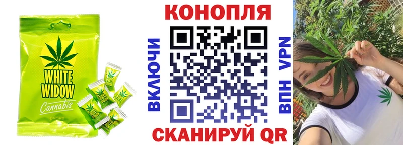 omg ссылка  Гаджиево  Печенье с ТГК марихуана 