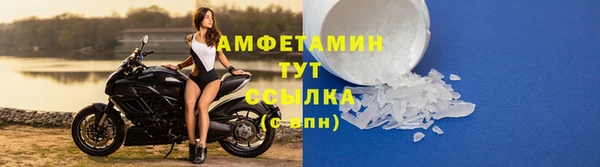 мяу мяу мука Баксан