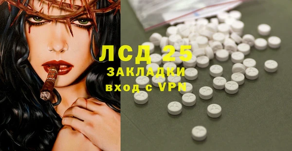 мяу мяу мука Баксан
