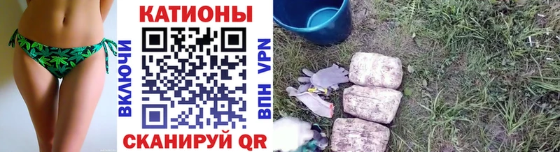 где купить   Гаджиево  МЯУ-МЯУ мука 
