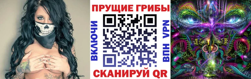 MEGA как зайти  Гаджиево  Псилоцибиновые грибы Psilocybine cubensis  купить  сайты 